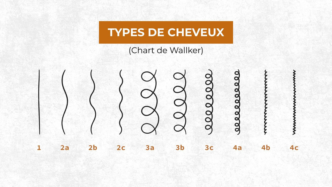 Ce que cache la classification des types de cheveux (1A-4C)