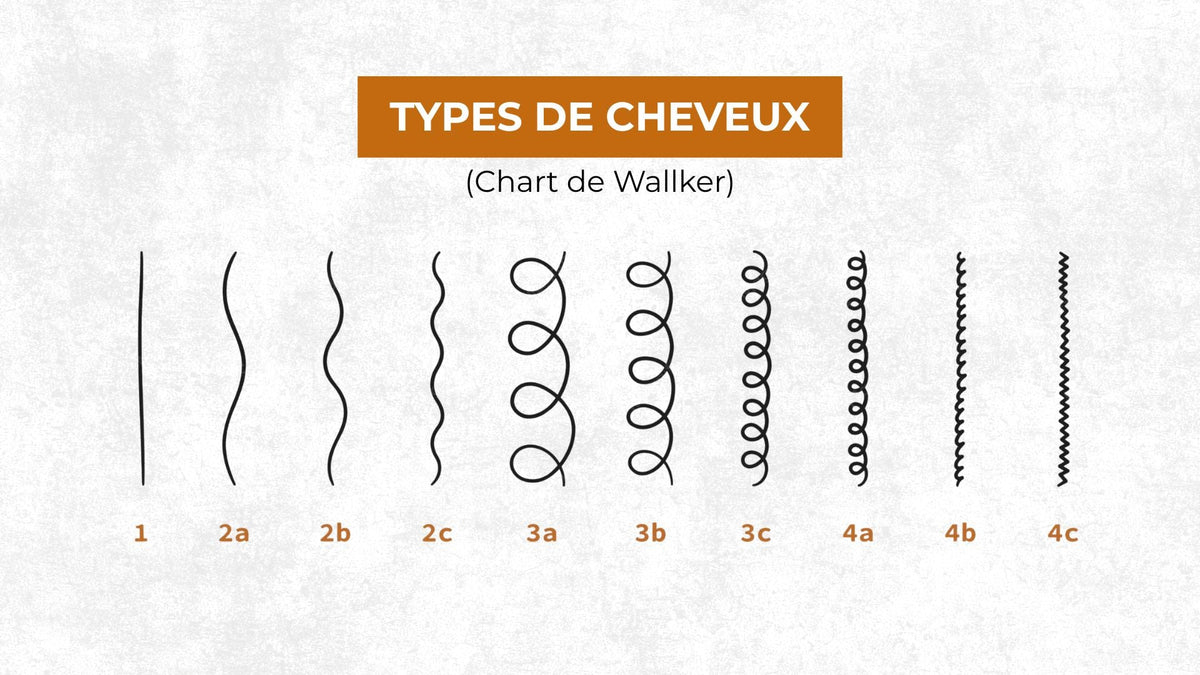Ce que cache la classification des types de cheveux (1A-4C)